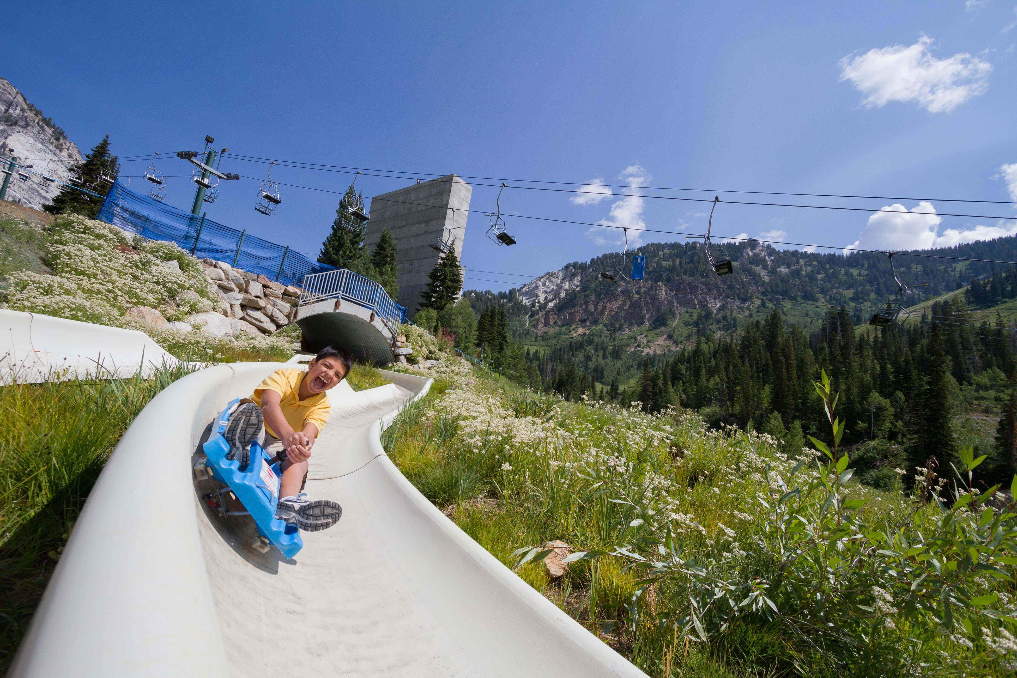 Alpine Slide